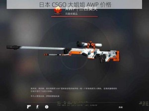 日本 CSGO 大姐姐 AWP 价格