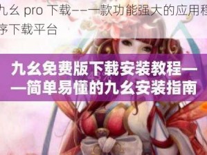 九幺 pro 下载——一款功能强大的应用程序下载平台