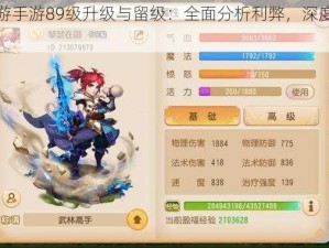 梦幻西游手游89级升级与留级：全面分析利弊，深度探讨决策之道