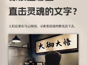 文字的力量：探索主播语录攻略的挖掘与净化之旅