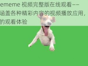 后 mememe 视频完整版在线观看——一款涵盖各种精彩内容的视频播放应用，提供流畅的观看体验