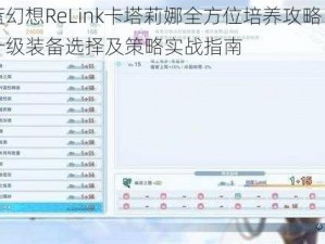 碧蓝幻想ReLink卡塔莉娜全方位培养攻略：技能升级装备选择及策略实战指南