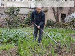 马儿的疲惫之旅：沉重的步履下它已显露出劳累的神情