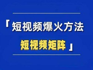 热门短视频聚合平台，palipali 轻量版永久网页入口，让你轻松畅享各类精彩视频