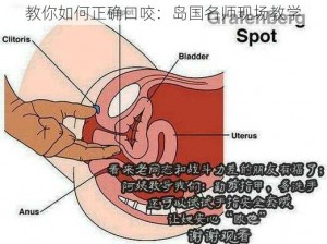 教你如何正确口咬：岛国名师现场教学