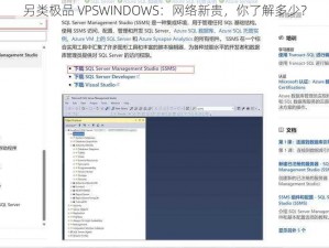 另类极品 VPSWINDOWS：网络新贵，你了解多少？