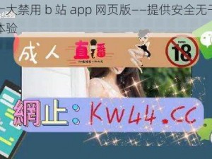 夜里十大禁用 b 站 app 网页版——提供安全无干扰的浏览体验