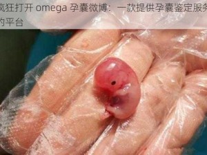 疯狂打开 omega 孕囊微博：一款提供孕囊鉴定服务的平台