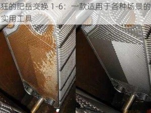 疯狂的肥岳交换 1-6：一款适用于各种场景的高效实用工具