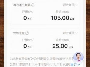 欧洲 vodafonewifi 巨大 app3di，畅享高速网络的无忧选择