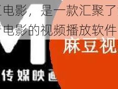 麻豆电影，是一款汇聚了海量高清电影的视频播放软件