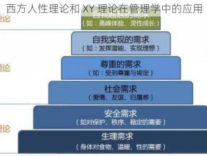 西方人性理论和 XY 理论在管理学中的应用