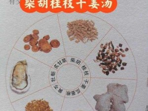 天涯明月刀手游特色食谱：柴胡姜桂汤配方材料及制作详解