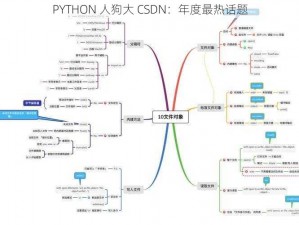 PYTHON 人狗大 CSDN：年度最热话题