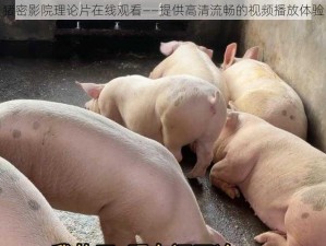 猪密影院理论片在线观看——提供高清流畅的视频播放体验