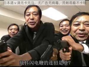 日本道 v 清无卡无马，无广告无病毒，流畅观看不卡顿