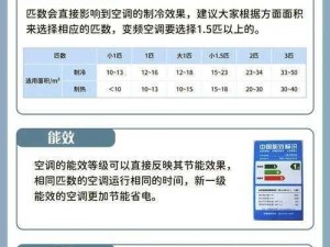 天宠岛双开攻略：全面解析如何轻松实现挂机图文全攻略