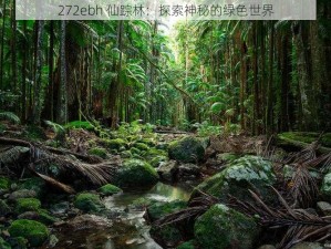 272ebh 仙踪林：探索神秘的绿色世界