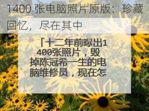 1400 张电脑照片原版：珍藏回忆，尽在其中