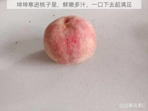 坤坤寒进桃子里，鲜嫩多汁，一口下去超满足