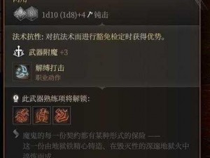 《无畏之勇：剑盾装备的传奇介绍》