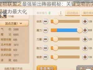 梦幻宠物联盟之最强输出阵容揭秘：关键宠物的完美组合实现战力最大化