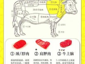 肉食家庭食取报告 2：探寻肉类美味的奥秘