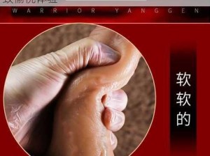 高质感男男高 HNP 情趣用品，让你享受极致愉悦体验