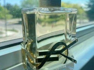 ysl 千人千面：打破刻板印象，展现真实自我