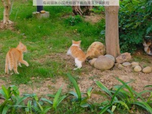 有间猫咪小院电脑版下载指南及安装教程