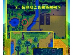 星露谷物语姜岛农舍地理位置解析：探索农舍所在之秘