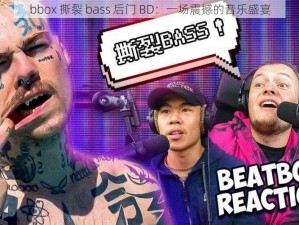 bbox 撕裂 bass 后门 BD：一场震撼的音乐盛宴