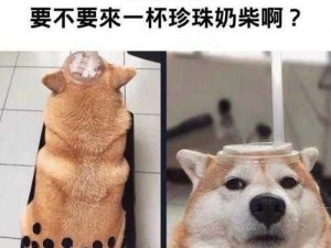 #狗狗射速好烫# 热点话题，你怎么看？