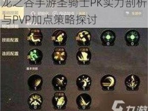 龙之谷手游圣骑士PK实力剖析与PVP加点策略探讨