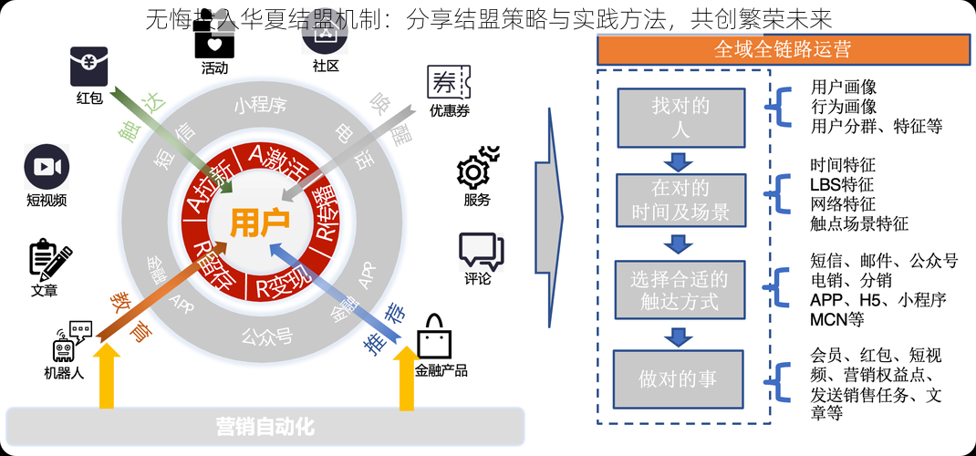 无悔投入华夏结盟机制：分享结盟策略与实践方法，共创繁荣未来