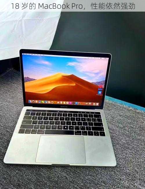 18 岁的 MacBook Pro，性能依然强劲