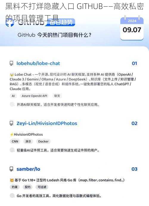 黑料不打烊隐藏入口 GITHUB——高效私密的项目管理工具