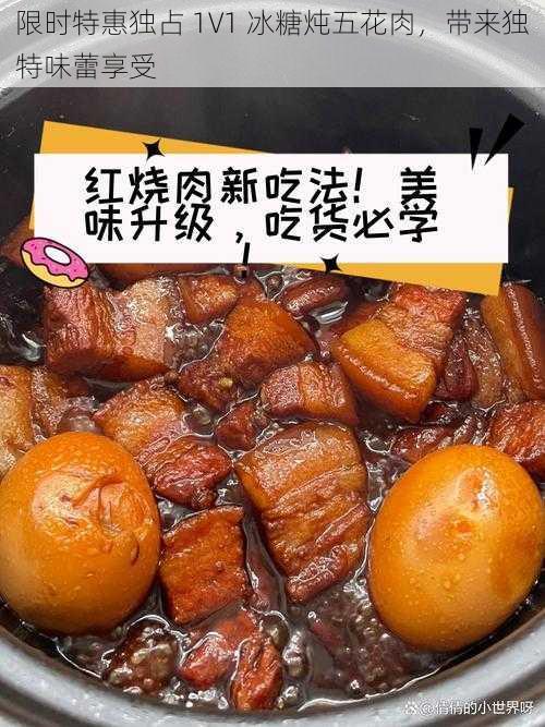 限时特惠独占 1V1 冰糖炖五花肉，带来独特味蕾享受