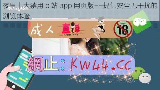 夜里十大禁用 b 站 app 网页版——提供安全无干扰的浏览体验