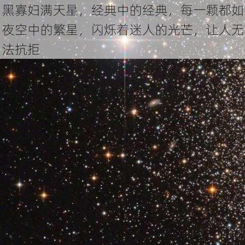 黑寡妇满天星，经典中的经典，每一颗都如夜空中的繁星，闪烁着迷人的光芒，让人无法抗拒