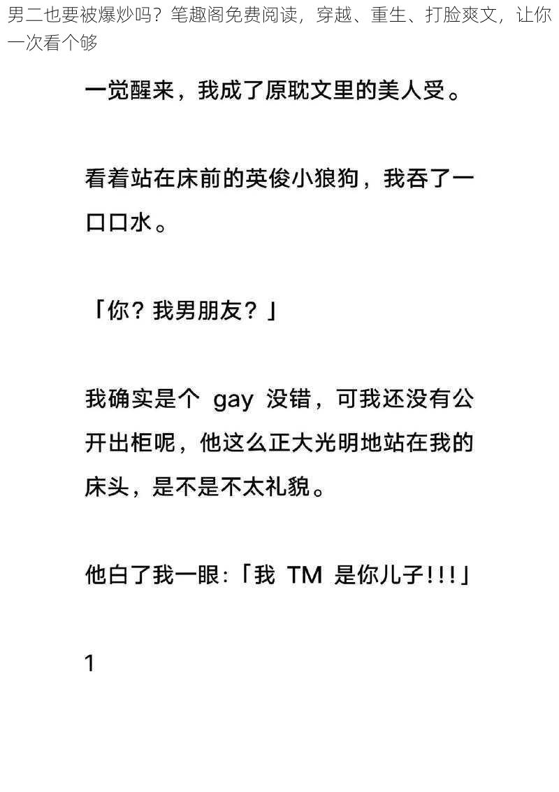 男二也要被爆炒吗？笔趣阁免费阅读，穿越、重生、打脸爽文，让你一次看个够