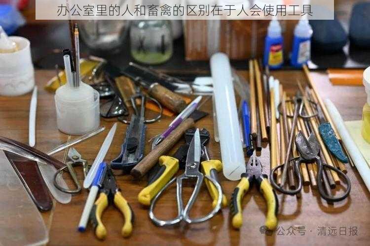 办公室里的人和畜禽的区别在于人会使用工具