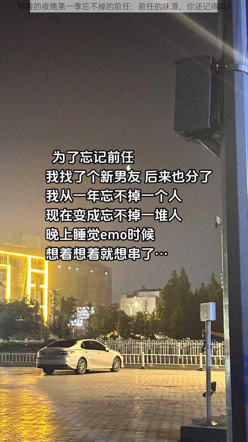 野兽的夜晚第一季忘不掉的前任：前任的味道，你还记得吗？