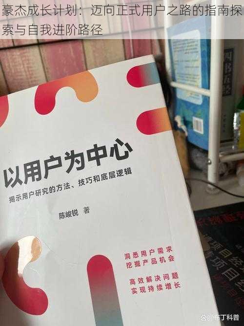 豪杰成长计划：迈向正式用户之路的指南探索与自我进阶路径