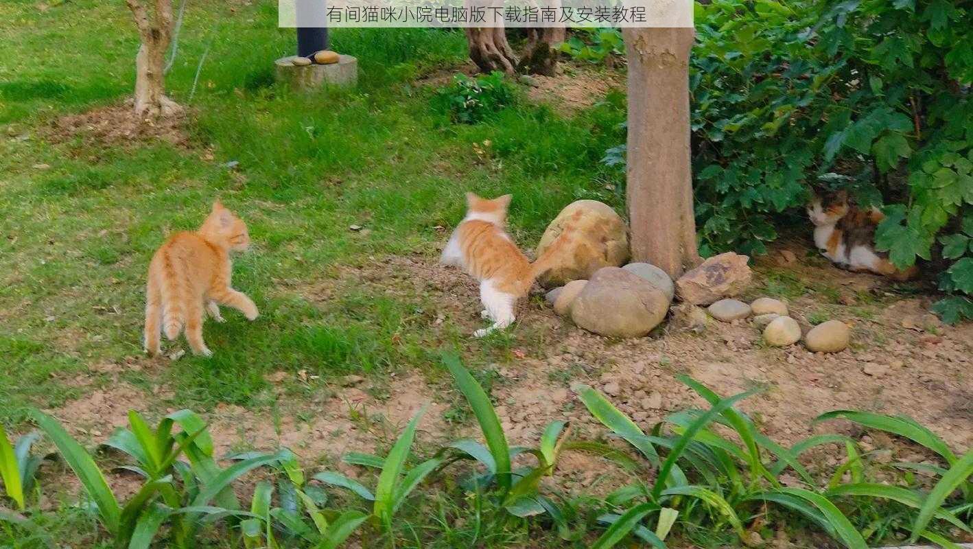 有间猫咪小院电脑版下载指南及安装教程