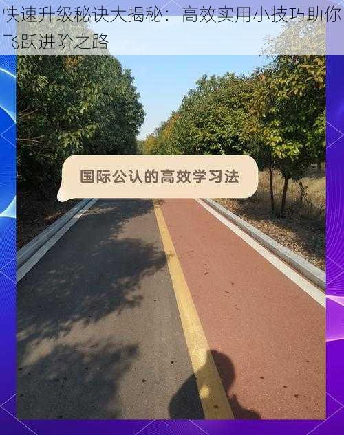 快速升级秘诀大揭秘：高效实用小技巧助你飞跃进阶之路