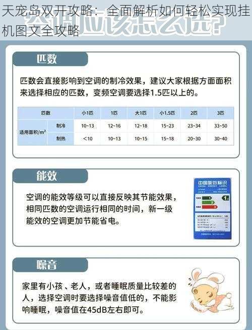 天宠岛双开攻略：全面解析如何轻松实现挂机图文全攻略