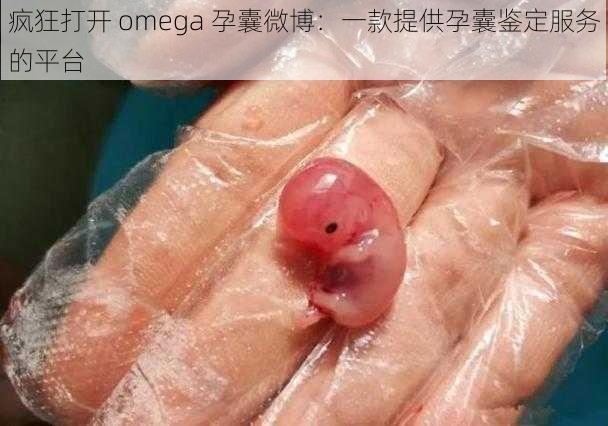 疯狂打开 omega 孕囊微博：一款提供孕囊鉴定服务的平台