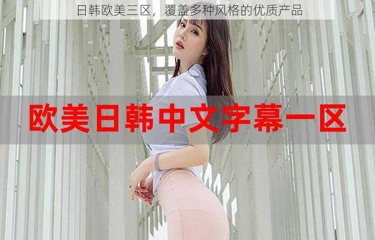 日韩欧美三区，覆盖多种风格的优质产品