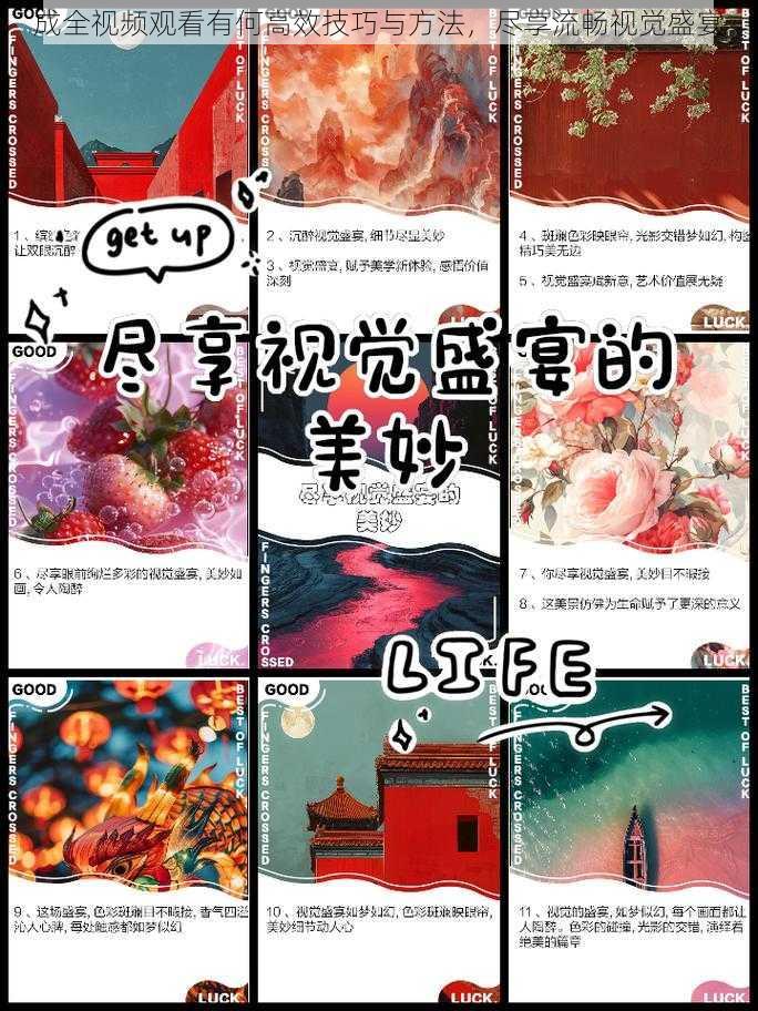 成全视频观看有何高效技巧与方法，尽享流畅视觉盛宴